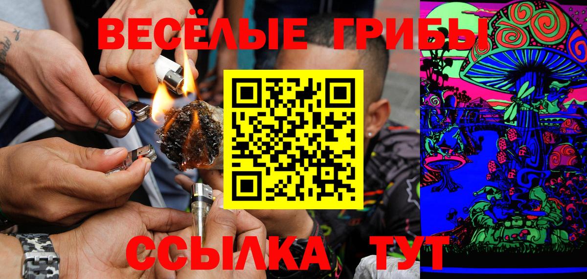 Киров  Галлюциногенные грибы GOLDEN TEACHER  Вход с VPN 